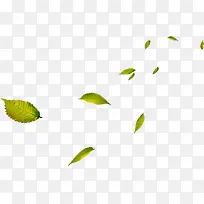 高清摄影绿色漂浮的树叶-空若网 高清摄影绿色漂浮的树叶-空若网