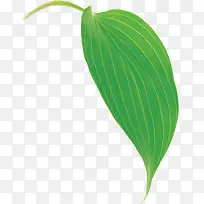 绿色时尚手绘树叶-空若网 绿色时尚手绘树叶-空若网