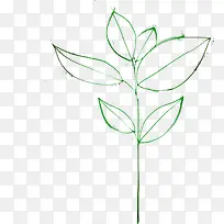 ��ɫʱ�л�����Ҷ-������