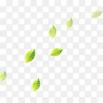 ��ҶƯ��-������