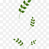 树叶漂浮-空若网 树叶漂浮-空若网