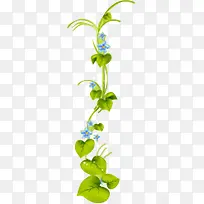绿色时尚手绘树叶花朵-空若网 绿色时尚手绘树叶花朵-空若网