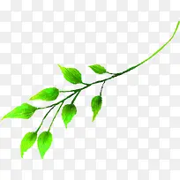 绿色时尚创意手绘树叶-空若网 绿色时尚创意手绘树叶-空若网