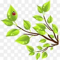 绿色春天美景树叶昆虫-空若网 绿色春天美景树叶昆虫-空若网