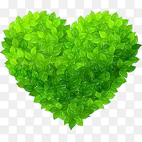 绿色春天时尚树叶风景-空若网 绿色春天时尚树叶风景-空若网