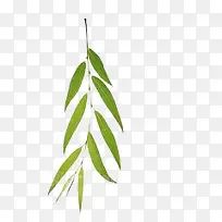 ��֦-������