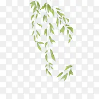 柳树树枝树叶-空若网 柳树树枝树叶-空若网