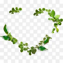 ��ɫʱ����Ҷ���Ĵ���-������