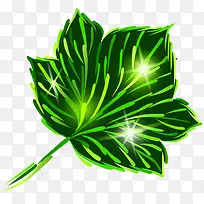 树叶-空若网 树叶-空若网