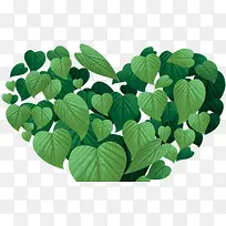 ��ɫʱ�д��컨����Ҷ-������