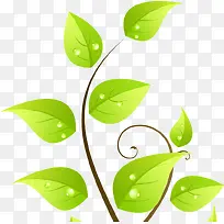 绿色时尚树叶美景装饰-空若网 绿色时尚树叶美景装饰-空若网