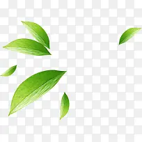 ��ɫˮ����ҶƯ��-������