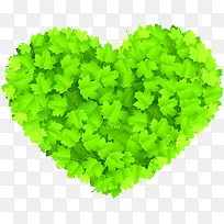 ��ɫ��ͨ������Ҷ����-������