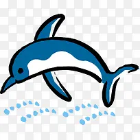 海豚png矢量素材-空若网 海豚png矢量素材-空若网