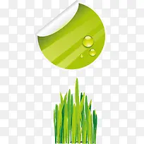 ÂÌÒ¶ÂÌ²ÝÆ´½ÓË®µÎͼ±ê-¿ÕÈôÍø ÂÌÒ¶ÂÌ²ÝÆ´½ÓË®µÎͼ±ê-¿ÕÈôÍø