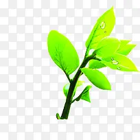 高清创意摄影树叶绿色新鲜-空若网 高清创意摄影树叶绿色新鲜-空若网