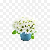 白色小 花简约花盆-空若网 白色小 花简约花盆-空若网