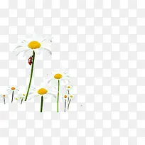 ��ɫ���´���С��-������