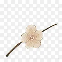 ��ɫʱ��С��Ψ�����-������