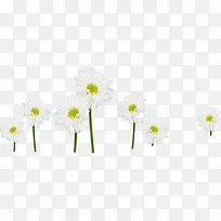 ��ɫС������װ��-������