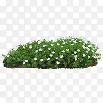 白色春天小花装饰-空若网 白色春天小花装饰-空若网