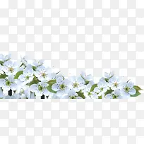 白色小花海报装饰-空若网 白色小花海报装饰-空若网