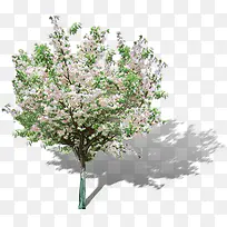 白色小花树林装饰-空若网 白色小花树林装饰-空若网