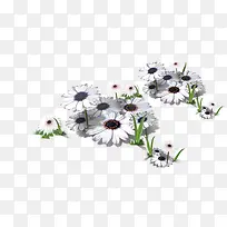 白色清新小花绿草-空若网 白色清新小花绿草-空若网