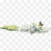 ��ɫҰ��С������-������