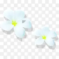 白色卡通唯美小花-空若网 白色卡通唯美小花-空若网