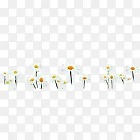 白色清新小花设计-空若网 白色清新小花设计-空若网