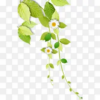 ��ɫ�ɰ�Ψ��С��-������