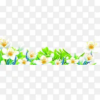 教师节绿叶白色小花-空若网 教师节绿叶白色小花-空若网