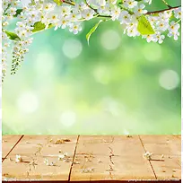 白色小花绿叶背景-空若网 白色小花绿叶背景-空若网