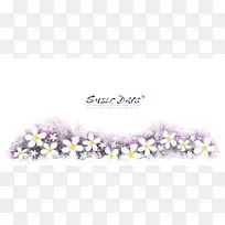 白色小花整齐排放-空若网 白色小花整齐排放-空若网