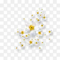 飞舞白色小花-空若网 飞舞白色小花-空若网