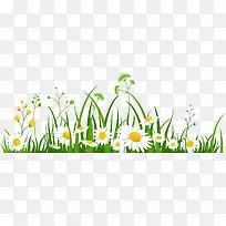 绿草白色小花图片-空若网 绿草白色小花图片-空若网