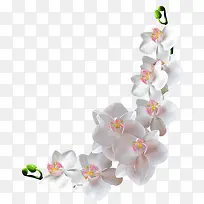 ��ɫС����֦-������