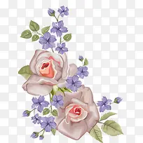 白色紫色小花绿叶-空若网 白色紫色小花绿叶-空若网