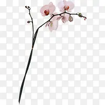 ��ɫС����֦-������