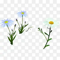 文艺白色小花植物-空若网 文艺白色小花植物-空若网