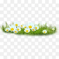 白色小花草地植物-空若网 白色小花草地植物-空若网