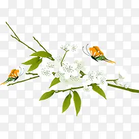 清新白色小花蝴蝶-空若网 清新白色小花蝴蝶-空若网