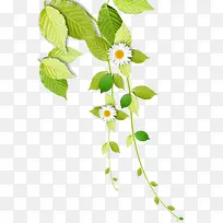 白色唯美小花树叶-空若网 白色唯美小花树叶-空若网