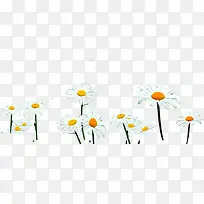 ��ɫΨ��С������-������