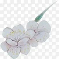 白色古风小花装饰-空若网 白色古风小花装饰-空若网