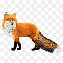 卡通动物-空若网 卡通动物-空若网