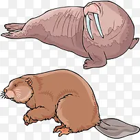 卡通海狮-空若网 卡通海狮-空若网