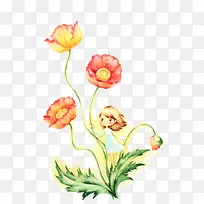 女孩和花-空若网 女孩和花-空若网