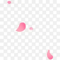 白色花瓣漂浮花瓣-空若网 白色花瓣漂浮花瓣-空若网